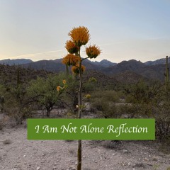 I Am Not Alone Reflection