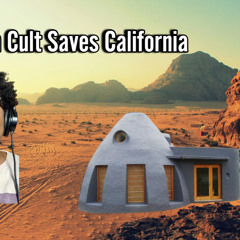 What Does An Impactful Non-violent Revolution Actually look like?