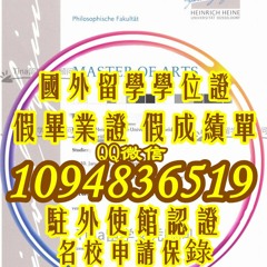 杜塞尔多夫大学学历证书