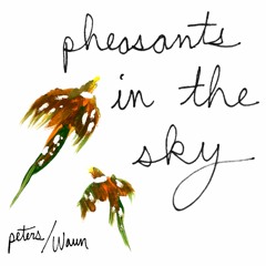 Pheasants in the Sky (Peters-Waun)