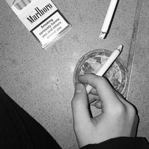 TRANSITION Pt. 2 (Official)