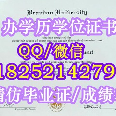 ★订制《Brandon学历学位证书》〖Q/微：1825214279〗【加拿大布兰登大学毕业证购买】留信网/学历认证/文凭各种证书﹝布兰登大学精仿成绩单﹞