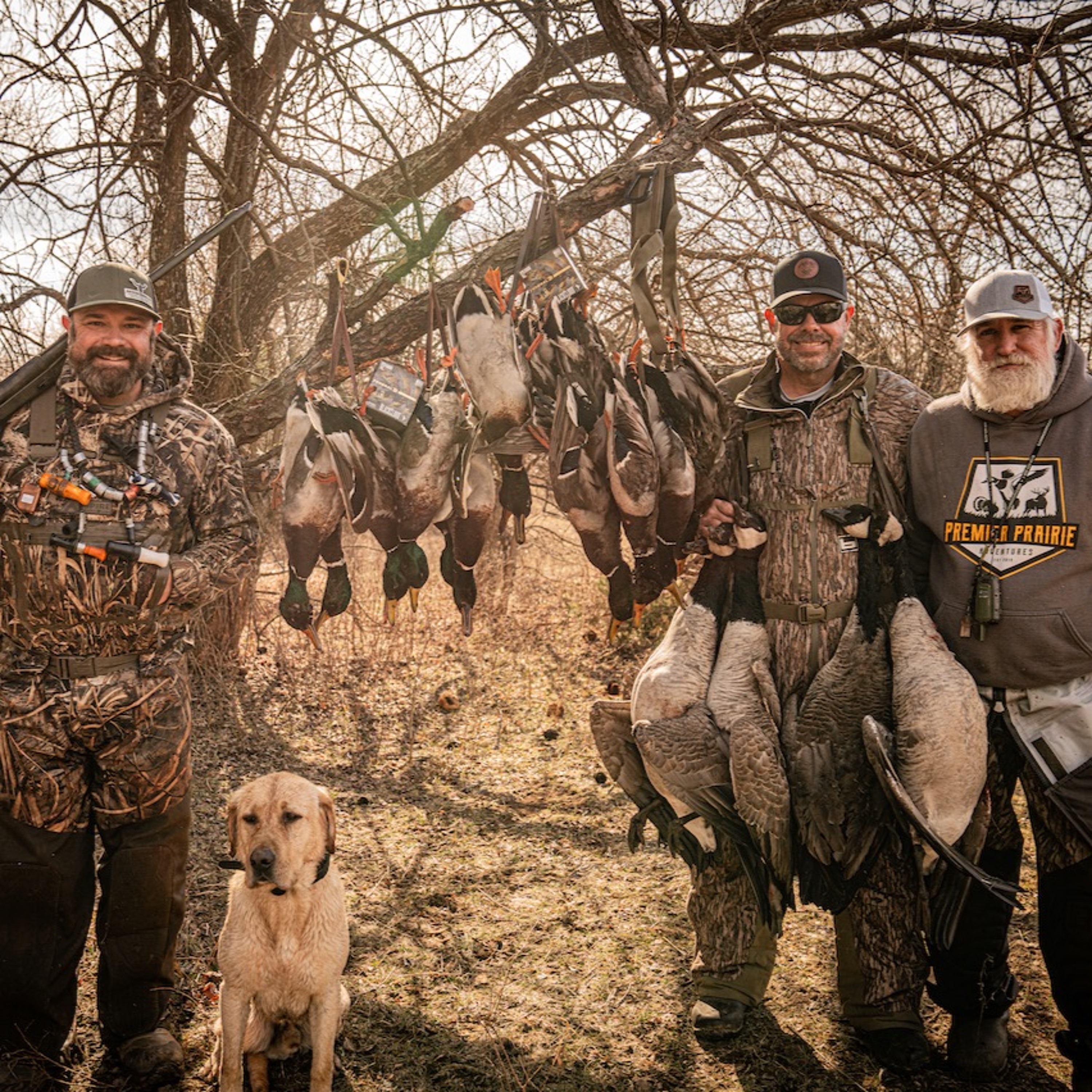 The Fowl Life