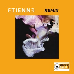 Etienne ft. Simian Mobile Disco - Caught In A Wave