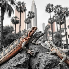 Lizards of LA
