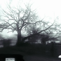 \♡ Õɓ§ę§§ïøŋ Płåýłï§ṭ ♡/