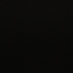 PluGGinb - Zunglas