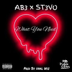 Palm City- Ab3 X St3vo - What U Need (Prod By: Unkl Wiz)