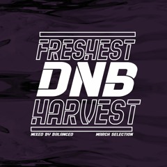 Freshest DnB Harvest (01) - March Selection