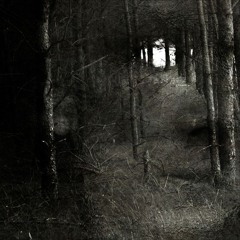 ethel cain - powerline valley (corrupt version)