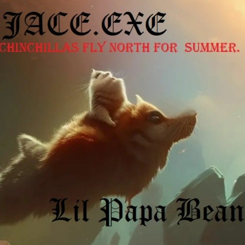 ChinchillasFlyNorthForSummer (feat. Lil Papa Bean)