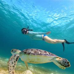 Best Snorkeling Near Fort Myers Fl Prices Reviews