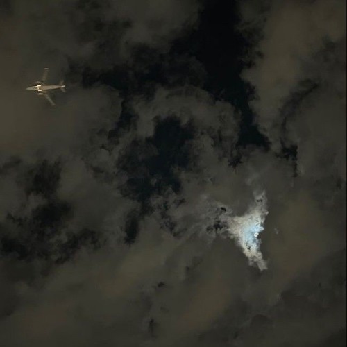 شيلة| الحب راح وراح راعيه