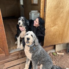 Gratitude: Colossians 3:16