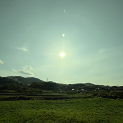 ボ谷カ