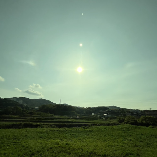 ボ谷カ