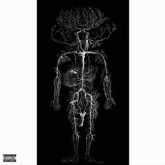 No Anatomy (Prod.NotAverage)