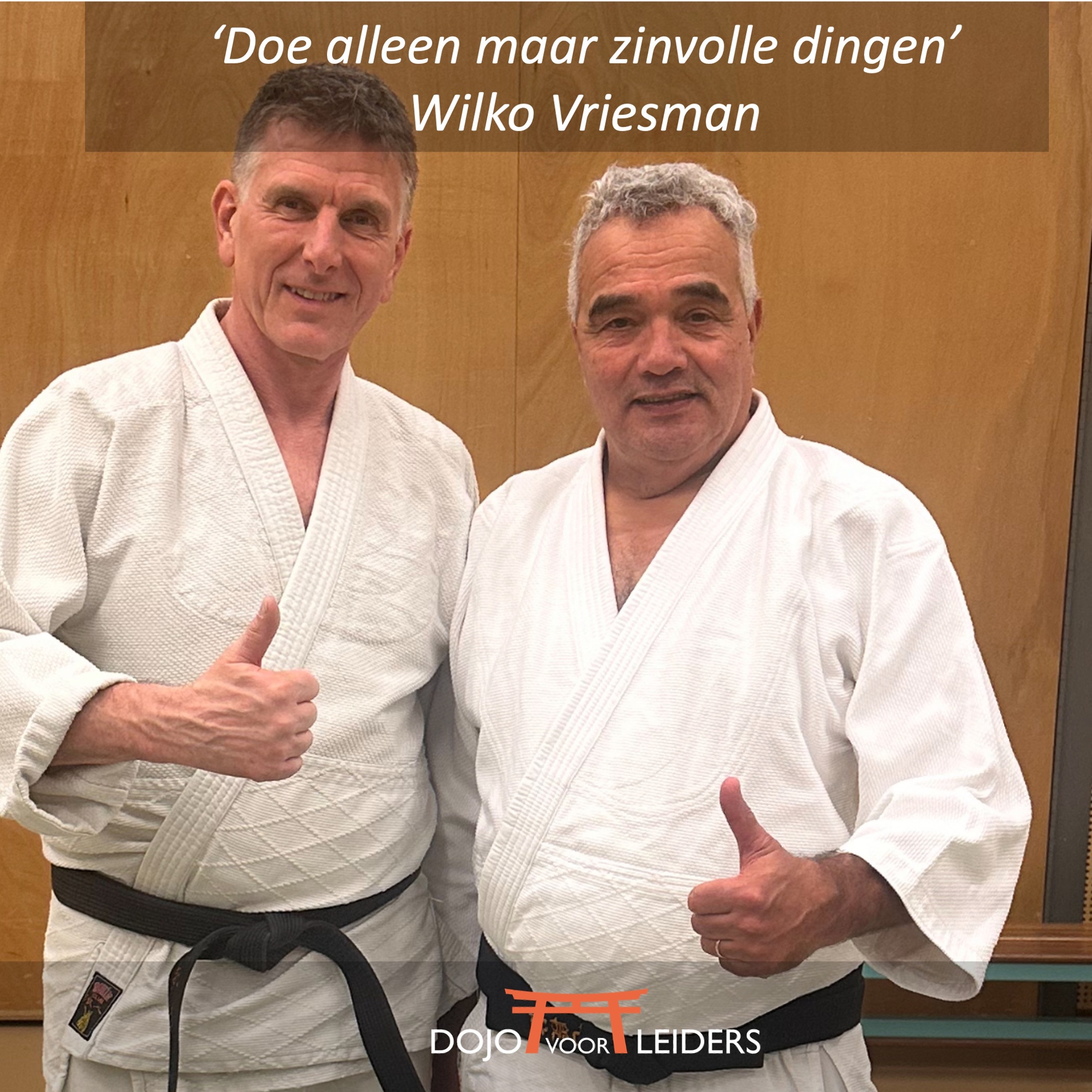 #4 Continu ontwikkelen - Wilko Vriesman/Aikido - Podcast Dojo voor Leiders episode artwork
