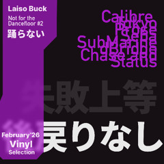 Not for the Dancefloor #2 — Vinyl Selection | Deep Liquid DnB