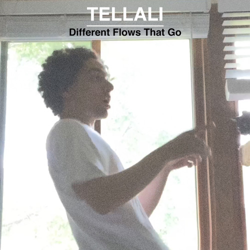 Different Flows That Go [prod. Crypt]