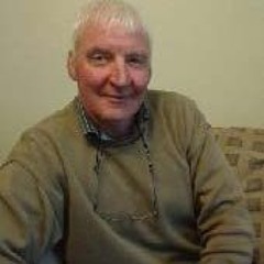 WIOHP 010 10 James Scully 16 November 2015 Police Stations Along The Grand Canal)