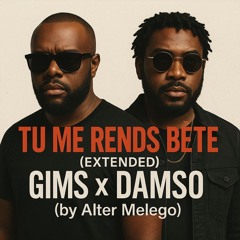 Gims FT. Damso - Tu me rends bête Extended