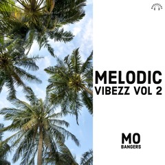 Melodic Vibezz Vol 2