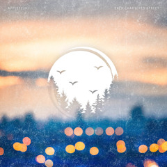 The Music Around Vol.8
