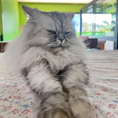 30 seconds after breaking up. song by Brody