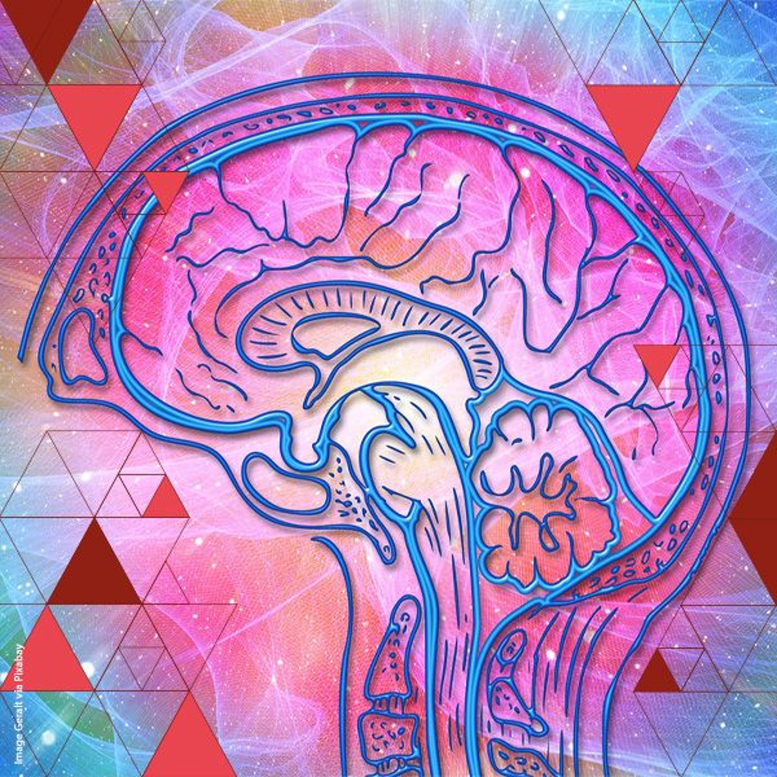 Radboud Reflects, verdiepende lezingen