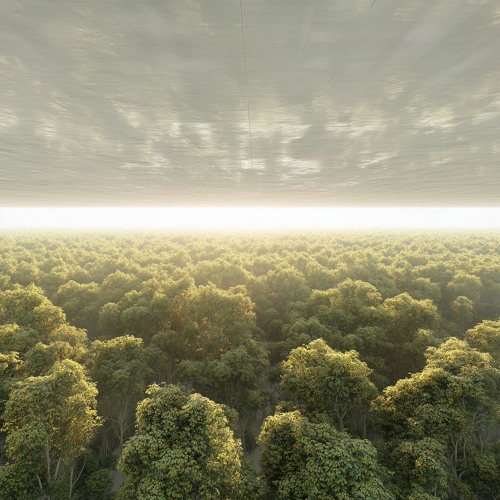 Paths And Branches