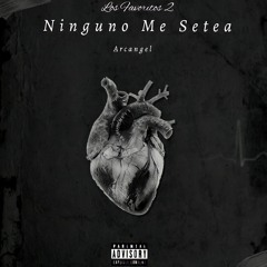 Ninguno Me Setea - Arcangel