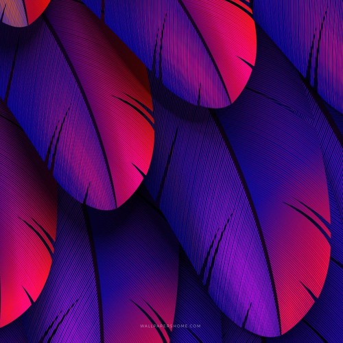 Liquid Dnb Minimix 2021