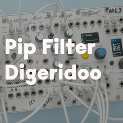 Pip Filter Didgeridoo