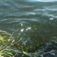 Black Water Impromptu