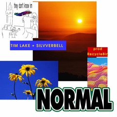 normal w/ silvverbell [recycleBin]