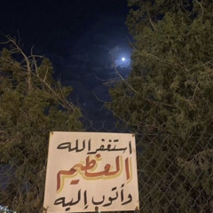 ﴿ يَقُولُ يَا لَيْتَنِي قَدَّمْتُ لِحَيَاتِي ﴾