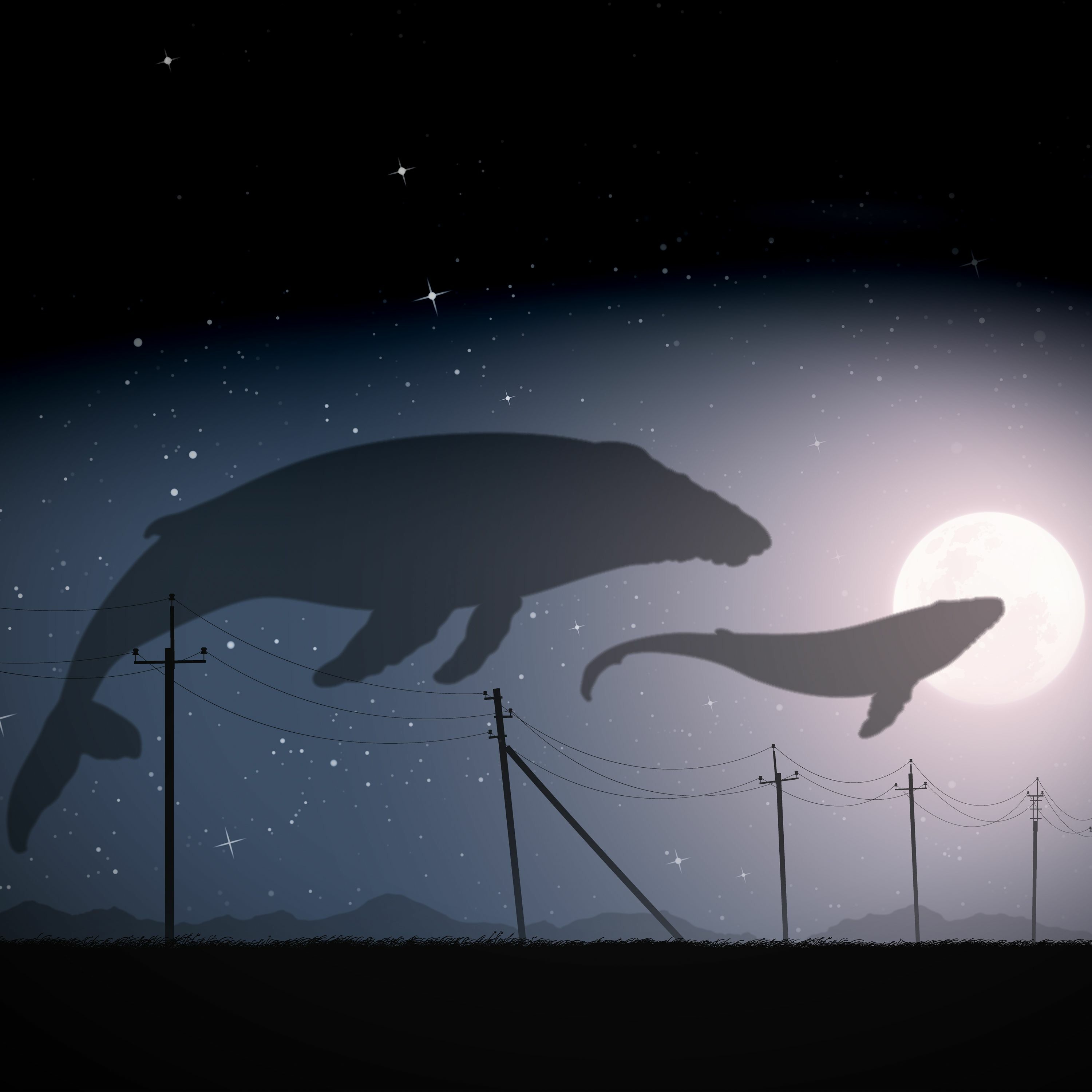 Recurring Dream episode artwork