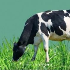 a quoi tu penses djingell