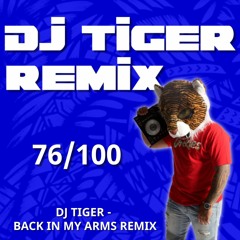 DJ TIGER - Spawn Breezie - BACK IN MY ARMS REMIX
