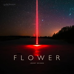 Flower - Johny Grimes | Free Background Music | Audio Library Release