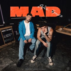 Martin Garrix, Lauv - Mad (Sofnn. Remix)