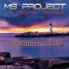 MS PROJECT & Michael Scholz (Wonderful Life- Snippet)