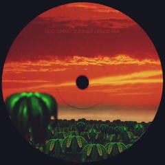 doc simmo's summer house mix