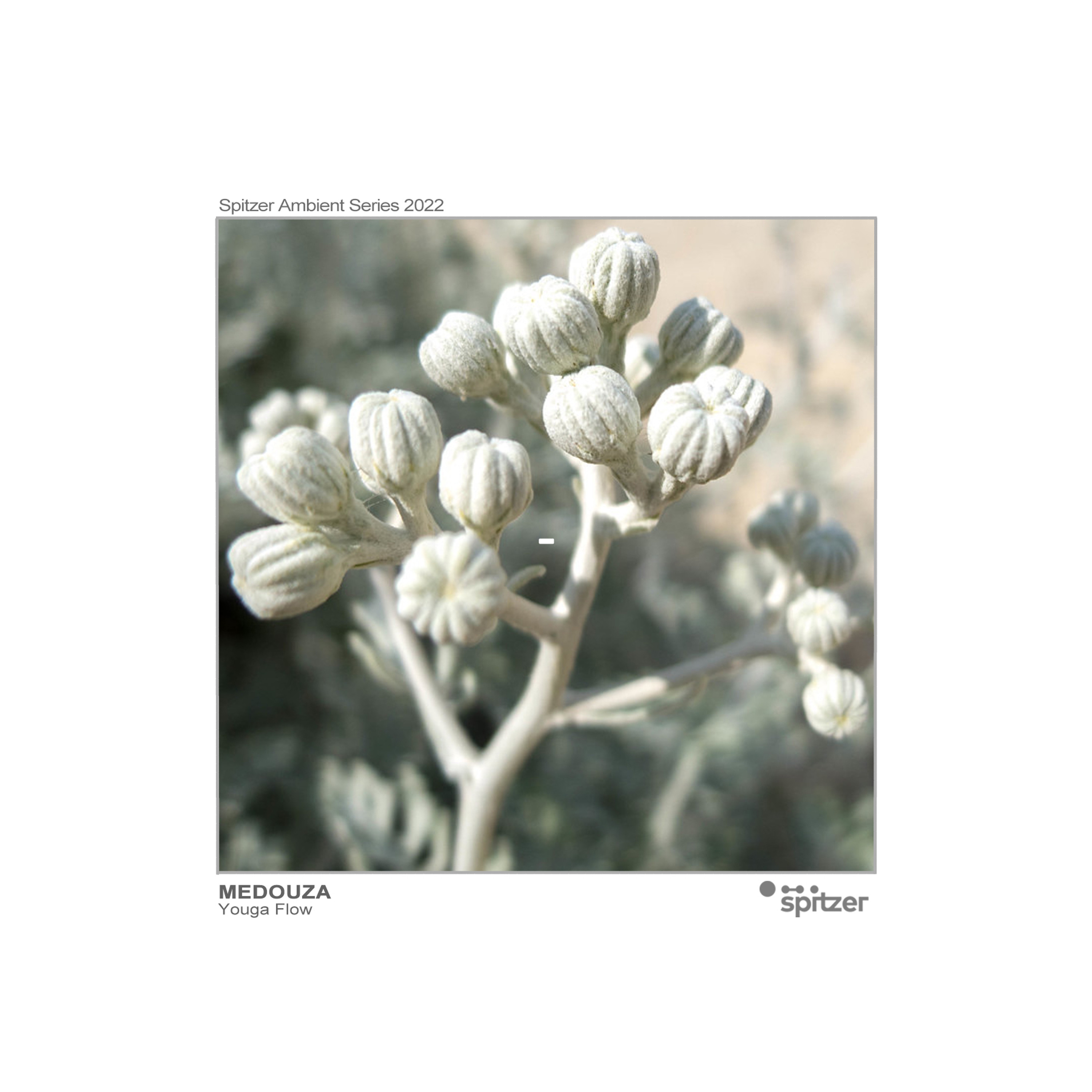 Medouza - Yoga Flow (Spitzer Ambient Series 2022) episode artwork