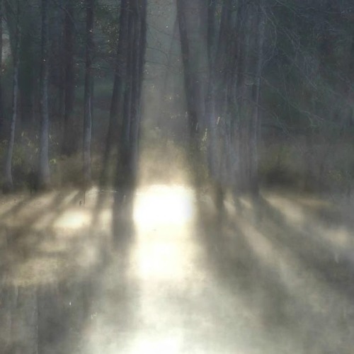 Cold hands (prod. xy1va)