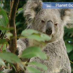 JVO The Writter-Mental Batallo-(Audio Oficial)