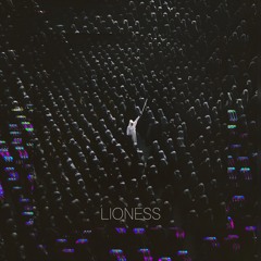 Swedish House Mafia, Niki & The Dove - Lioness (Pawax Remix)