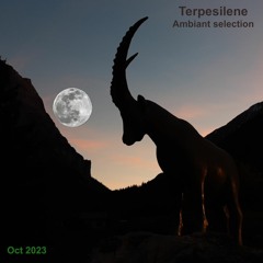 TS Octobre 2023