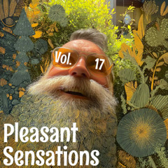 Pleasant Sensations 17